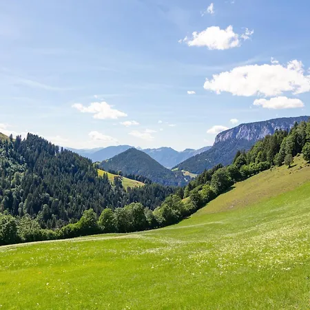 Koglbauer - Nr 5 Söll